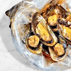 Best Green Mussels淡菜 in Las Vegas, NV